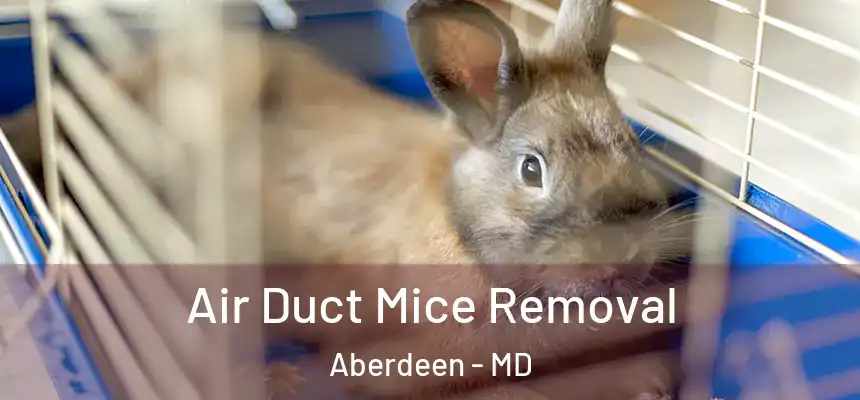  Air Duct Mice Removal Aberdeen - MD