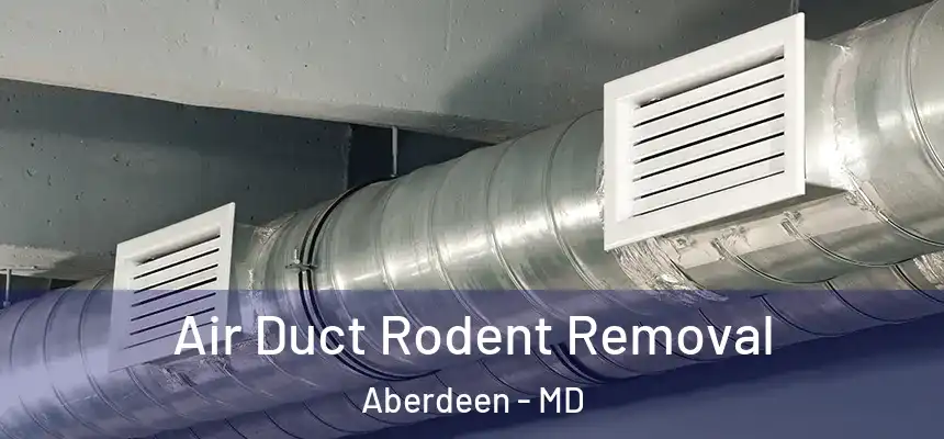  Air Duct Rodent Removal Aberdeen - MD