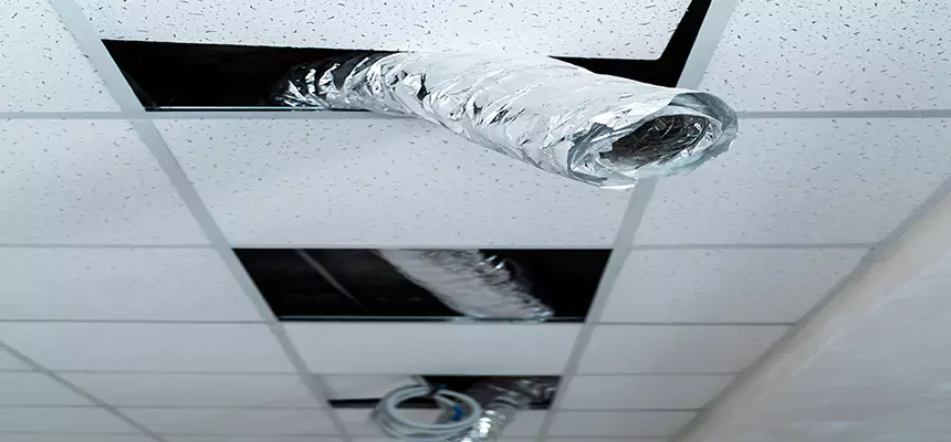 Our Air Duct Pet Hair Removal Services in Aberdeen, MD