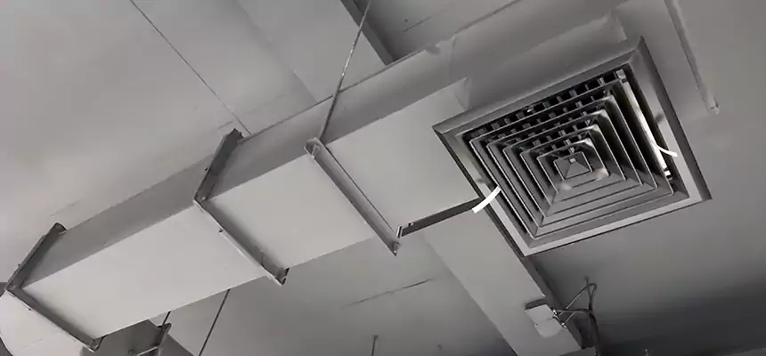 Our Pest Removal From Ducts Services in Aberdeen, MD