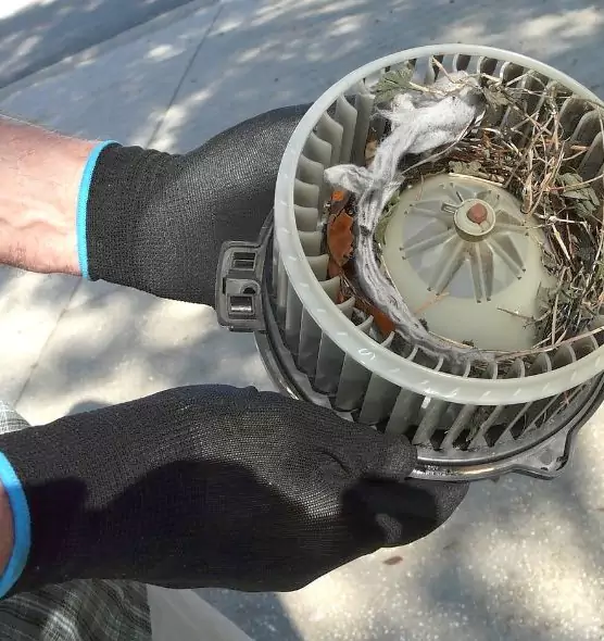 About Air Duct Mice Removal in Aberdeen, MD