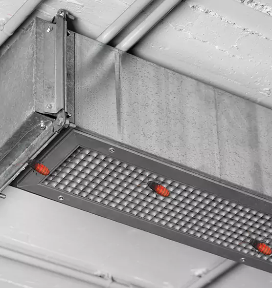 Affordable Insect Removal from Air Ducts in Aberdeen, MD