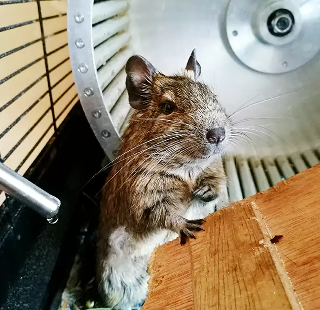 Why Homeowners & Businesses Trust Us Aberdeen, MD?